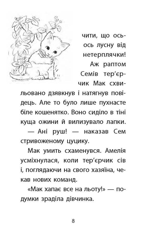 Книга "Деніелс Л. Історії порятунку. Кн.9. Загублене кошеня" (у) (5325) 3