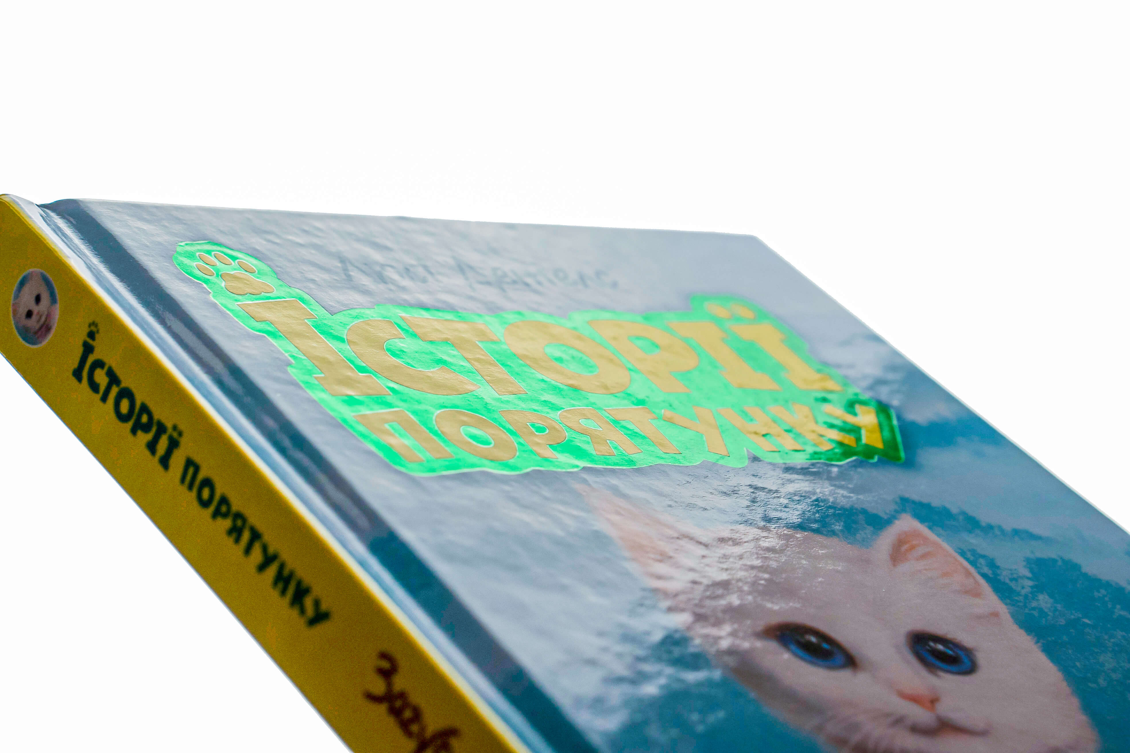 Книга "Деніелс Л. Історії порятунку. Кн.9. Загублене кошеня" (у) (5325) 1