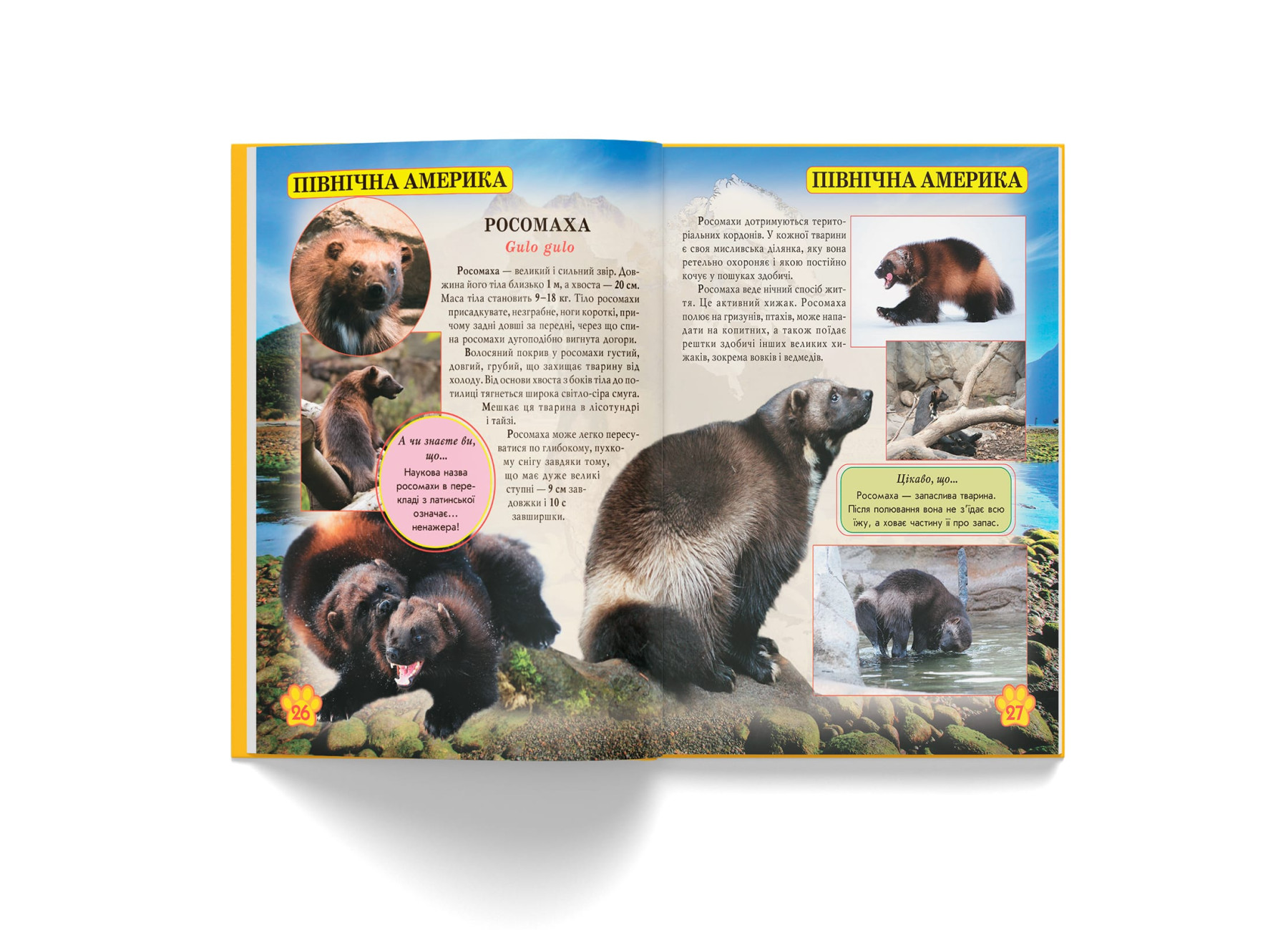 Книга "Світ навколо нас. Дикі тварини" (у) (9420) 5
