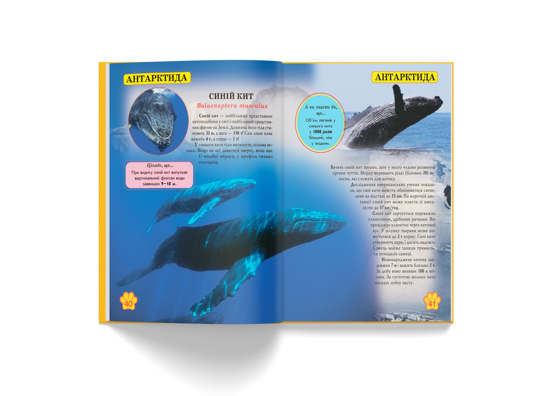 Книга "Світ навколо нас. Дикі тварини" (у) (9420) 6