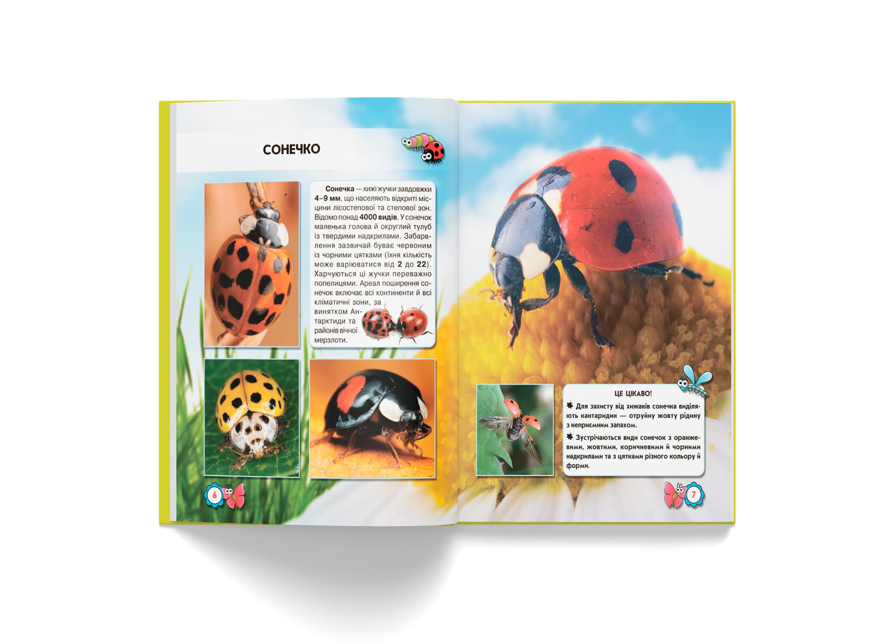 Книга "Світ навколо нас. Комахи" (у) (9208) 3