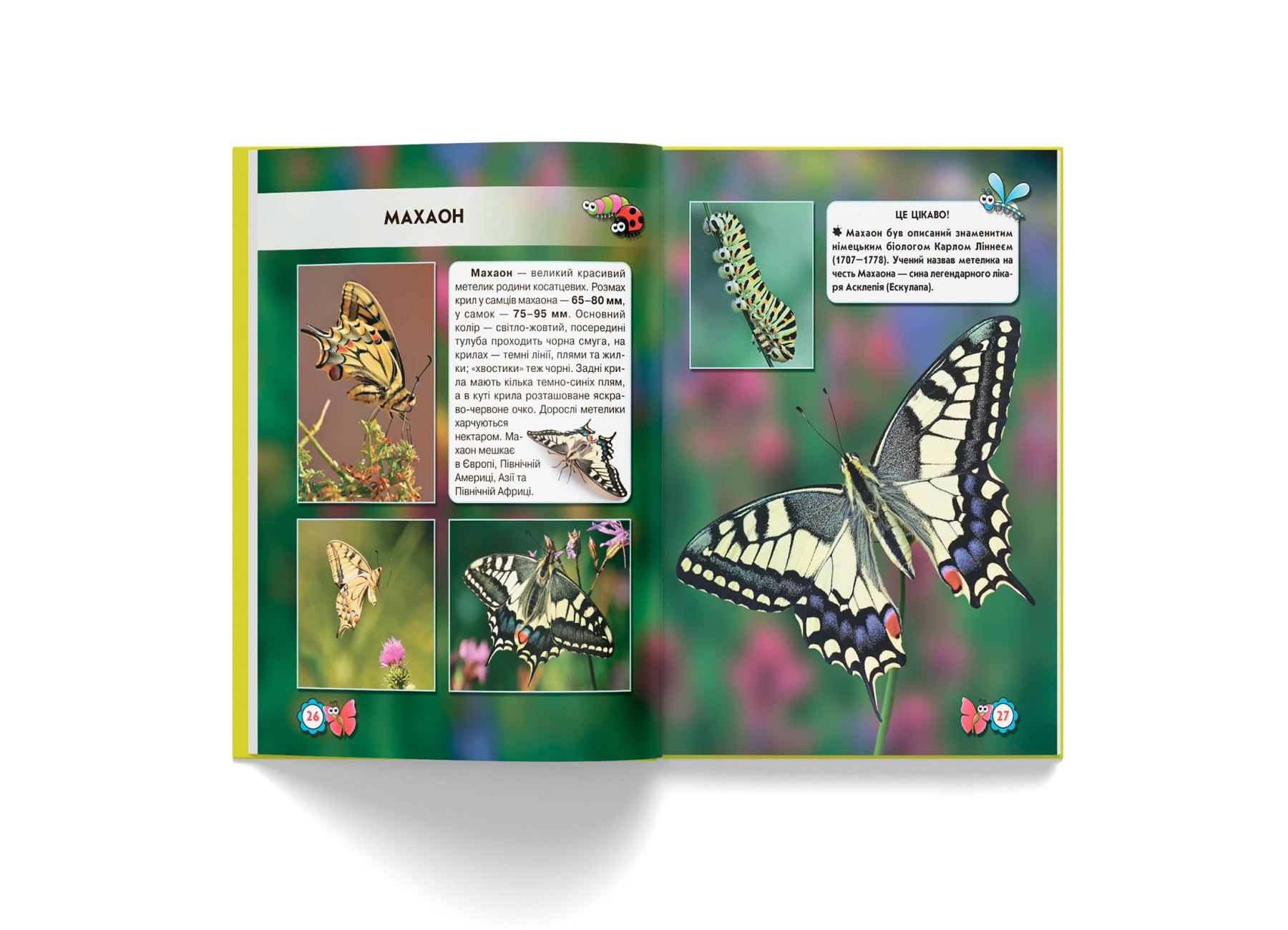 Книга "Світ навколо нас. Комахи" (у) (9208) 6