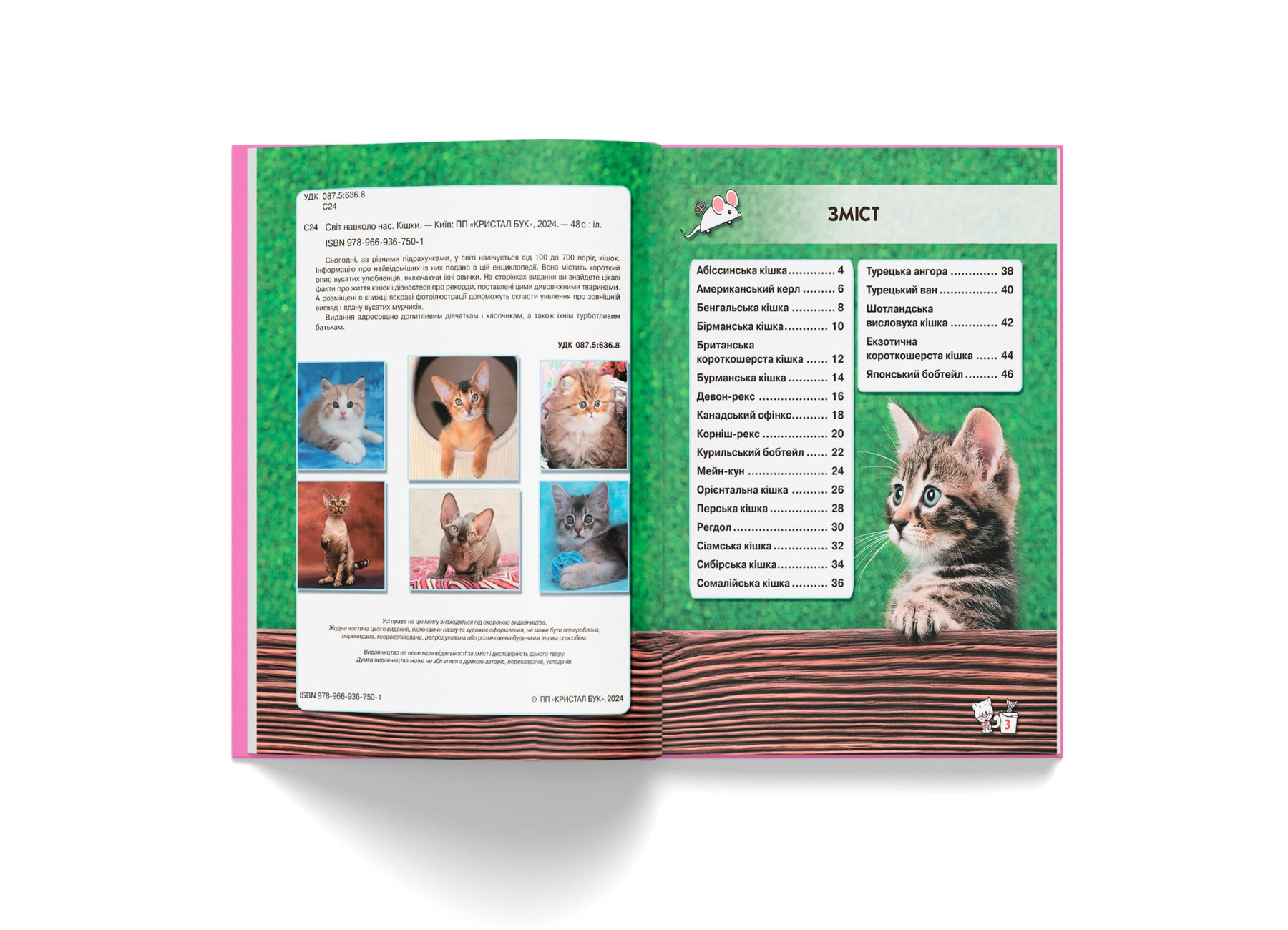 Книга "Світ навколо нас. Кішки" (у) (7501) 2