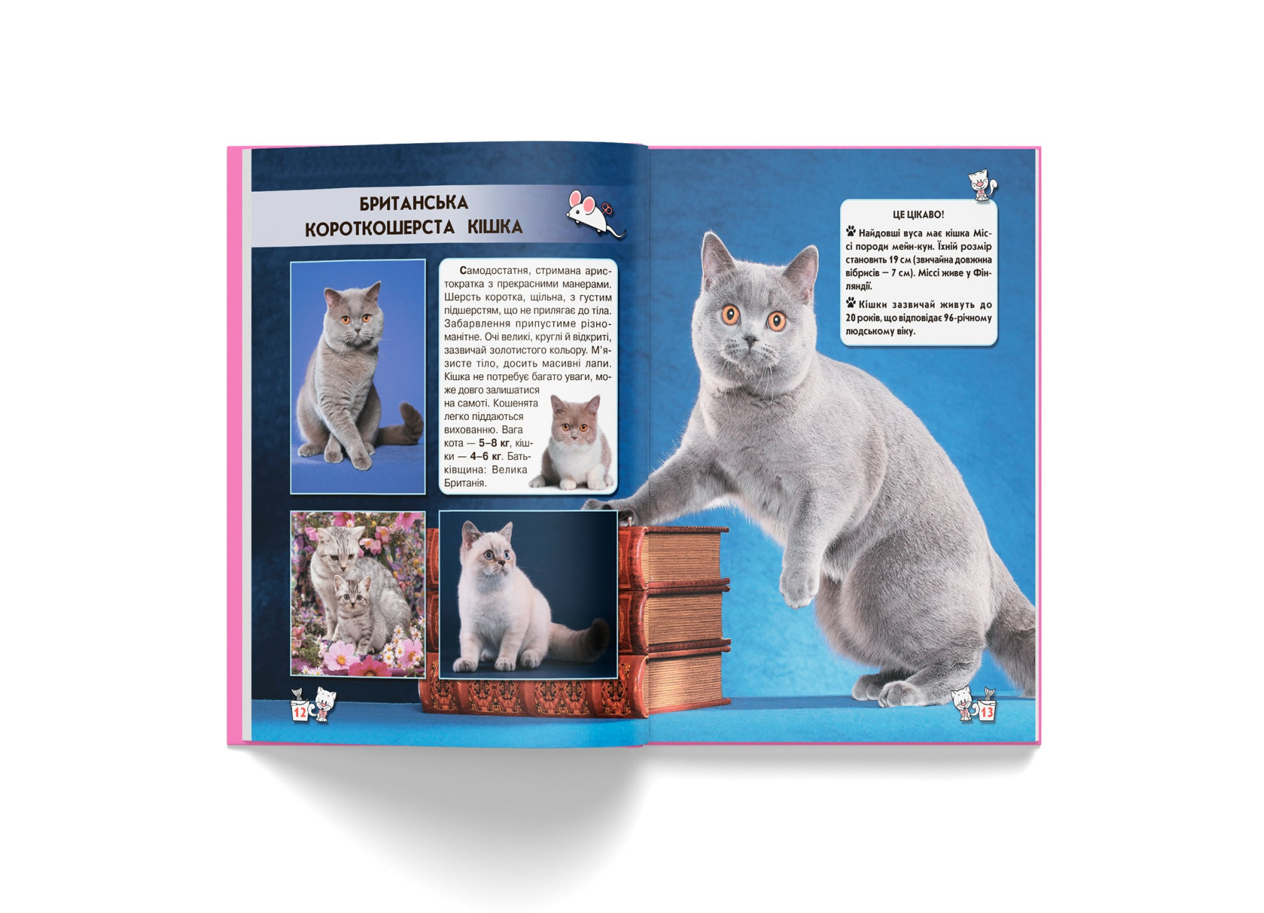 Книга "Світ навколо нас. Кішки" (у) (7501) 4