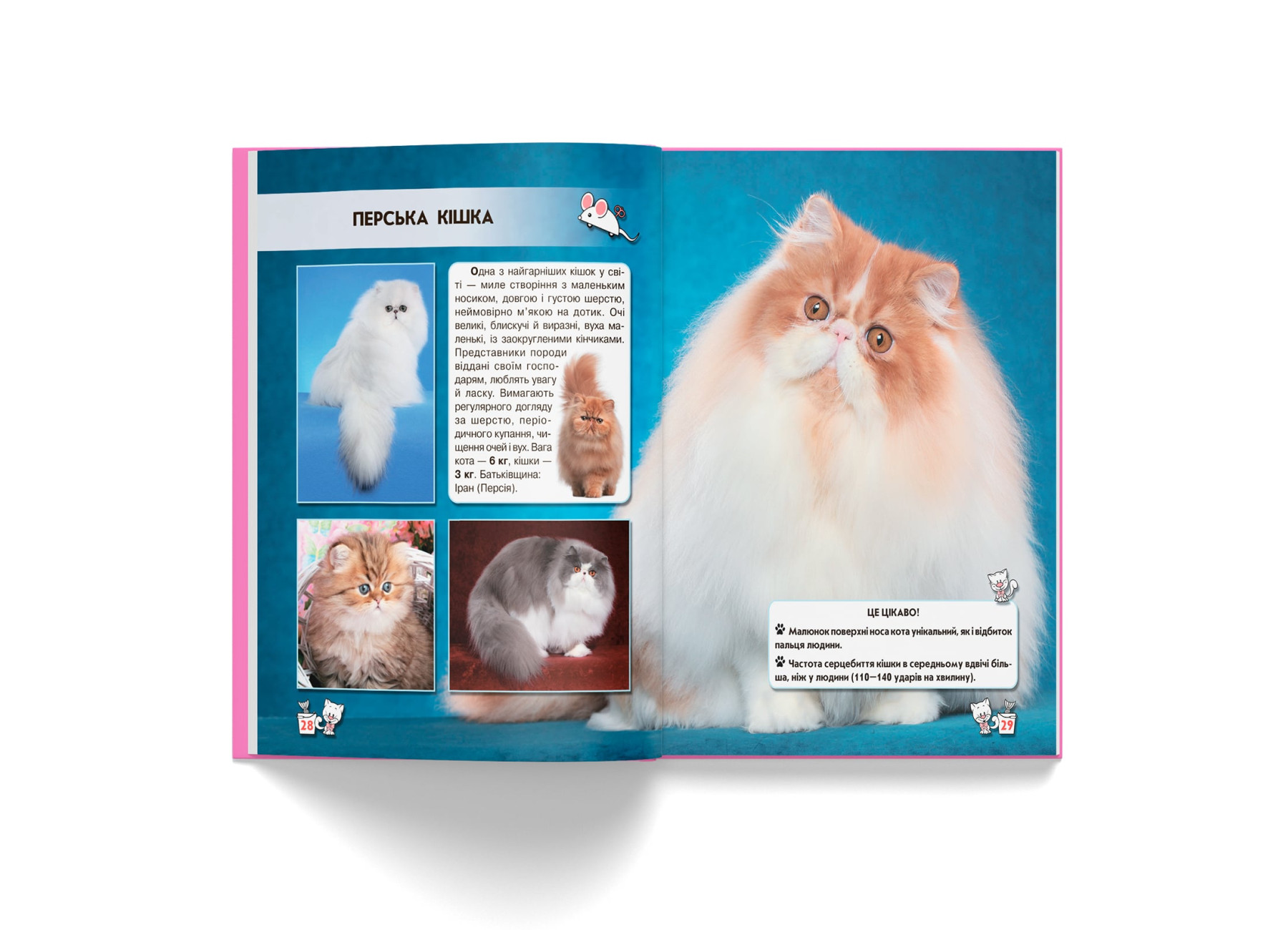 Книга "Світ навколо нас. Кішки" (у) (7501) 6