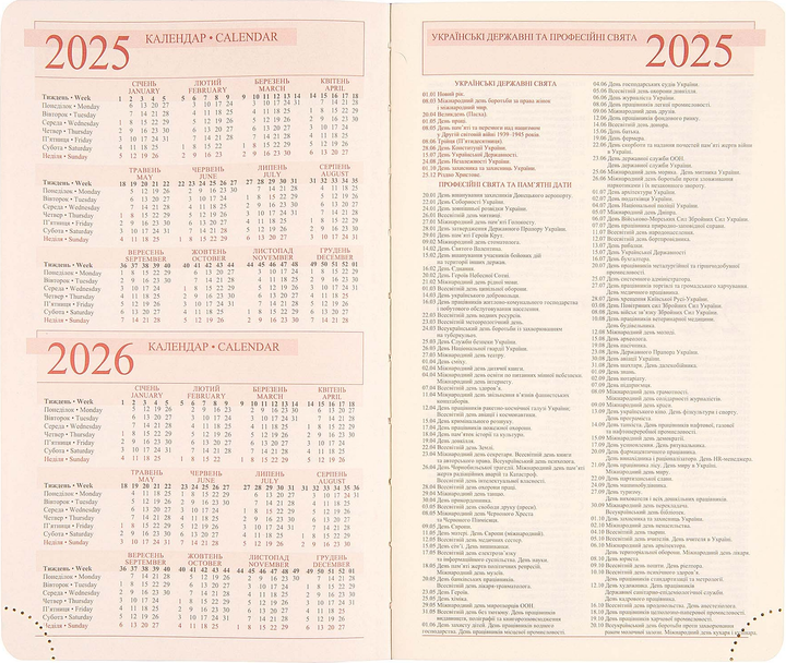 Деловая записная книжка А5 2025 "Agenda", мягкий, 368 стор., серо-голубой, 252549, Leo Planner 5