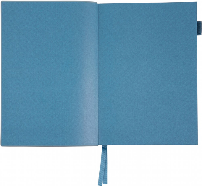 Деловая записная книжка А5 2025 "Binario", мягкий, 368 стор., сизо-голубой, 252542, Leo Planner 3
