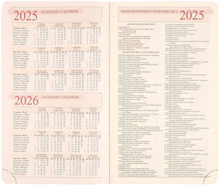 Деловая записная книжка А6 2025 "Circolo", тверд., 352 стор., 252597, Leo Planner 5