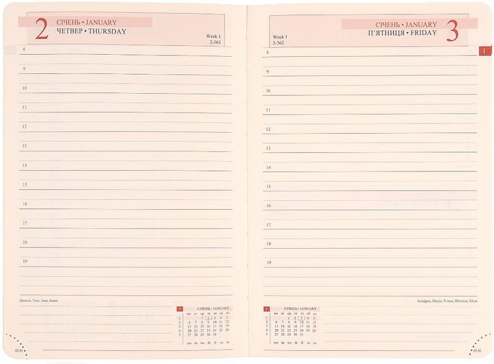 Деловая записная книжка А6 2025 "Circolo", тверд., 352 стор., 252597, Leo Planner 6