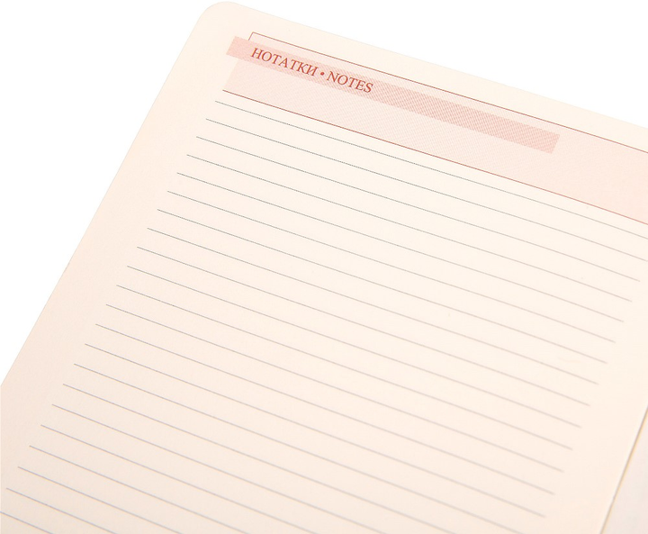 Деловая записная книжка А6 2025 "Circolo", тверд., 352 стор., 252597, Leo Planner 7