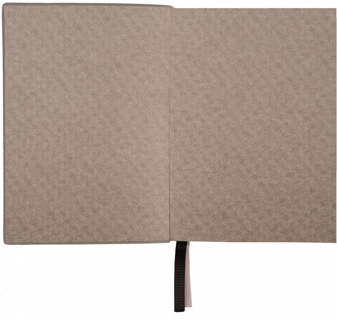 Деловая записная книжка А6 2025 "Jalino", мягкий, 352 стор., 252603, Leo Planner 4
