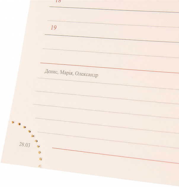 Деловая записная книжка А6 2025 "Jalino", мягкий, 352 стор., 252603, Leo Planner 9