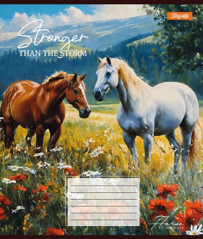 Зошит 24 лін. 1В Stronger than the storm, 767310 2