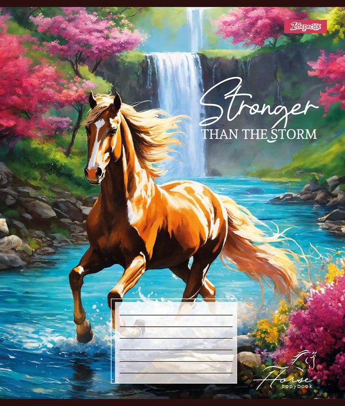 Зошит 24 лін. 1В Stronger than the storm, 767310 3