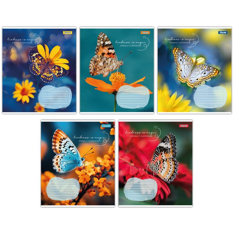 Зошит 48 кл. 1В Butterfly, 767357