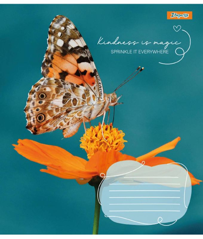 Зошит 48 кл. 1В Butterfly, 767357 1