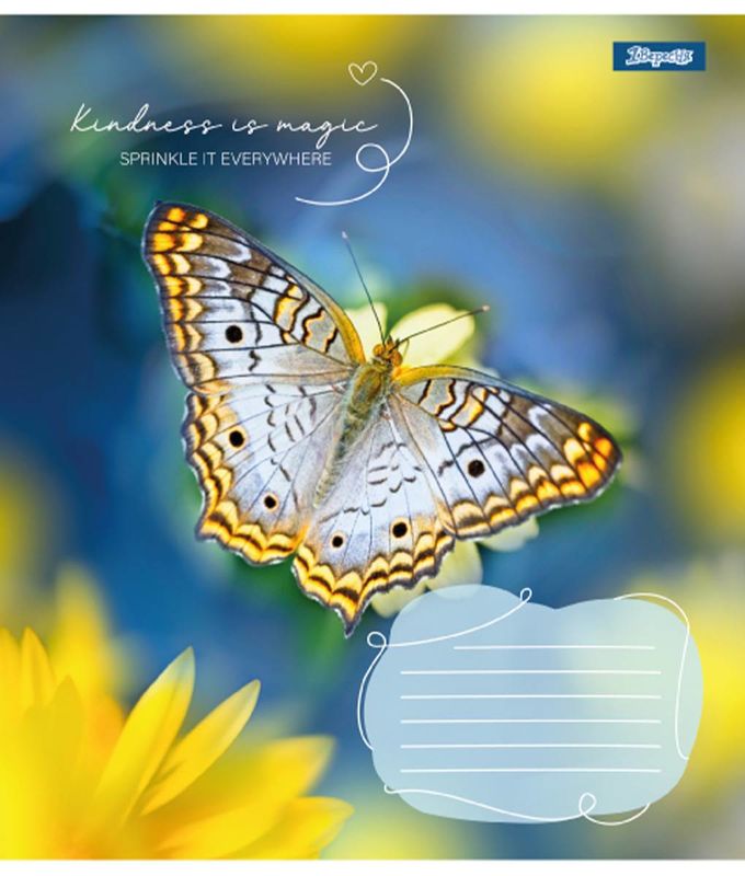 Зошит 48 кл. 1В Butterfly, 767357 2