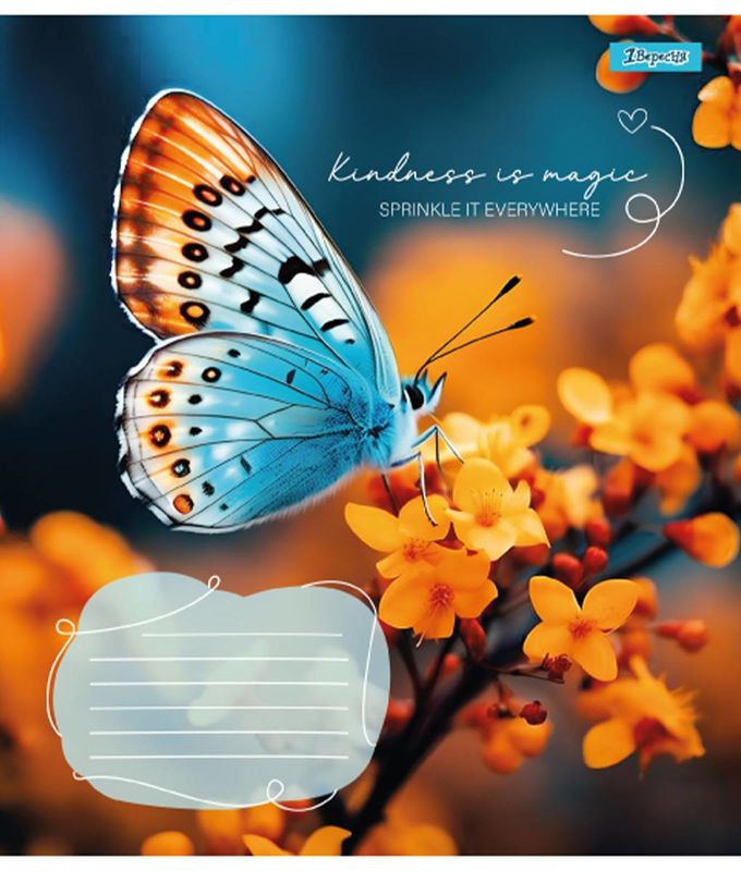 Зошит 48 кл. 1В Butterfly, 767357 3