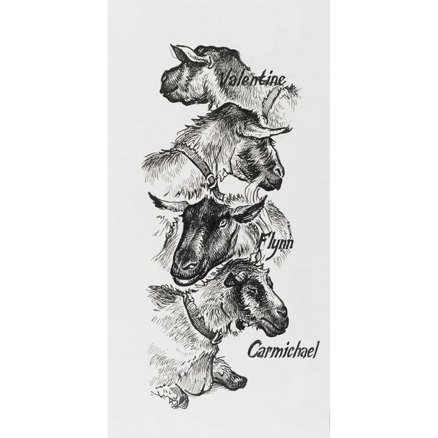 Набір ручок капілярних PITT, 4 шт., чорний, 167115 Faber-Castell 4