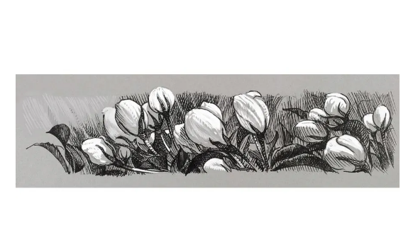 Набір ручок капілярних PITT, 4 шт., Black&White, 167151 Faber-Castell 2