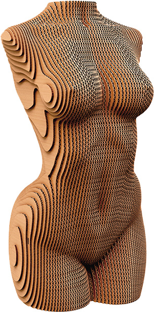 Картонный конструктор "Cartonic 3D Puzzle Female Torso", CARTTORSW