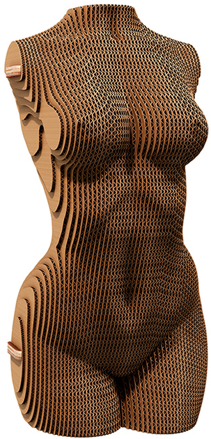 Картонный конструктор "Cartonic 3D Puzzle Female Torso", CARTTORSW 1