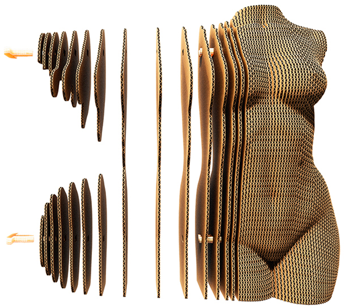 Картонный конструктор "Cartonic 3D Puzzle Female Torso", CARTTORSW 2