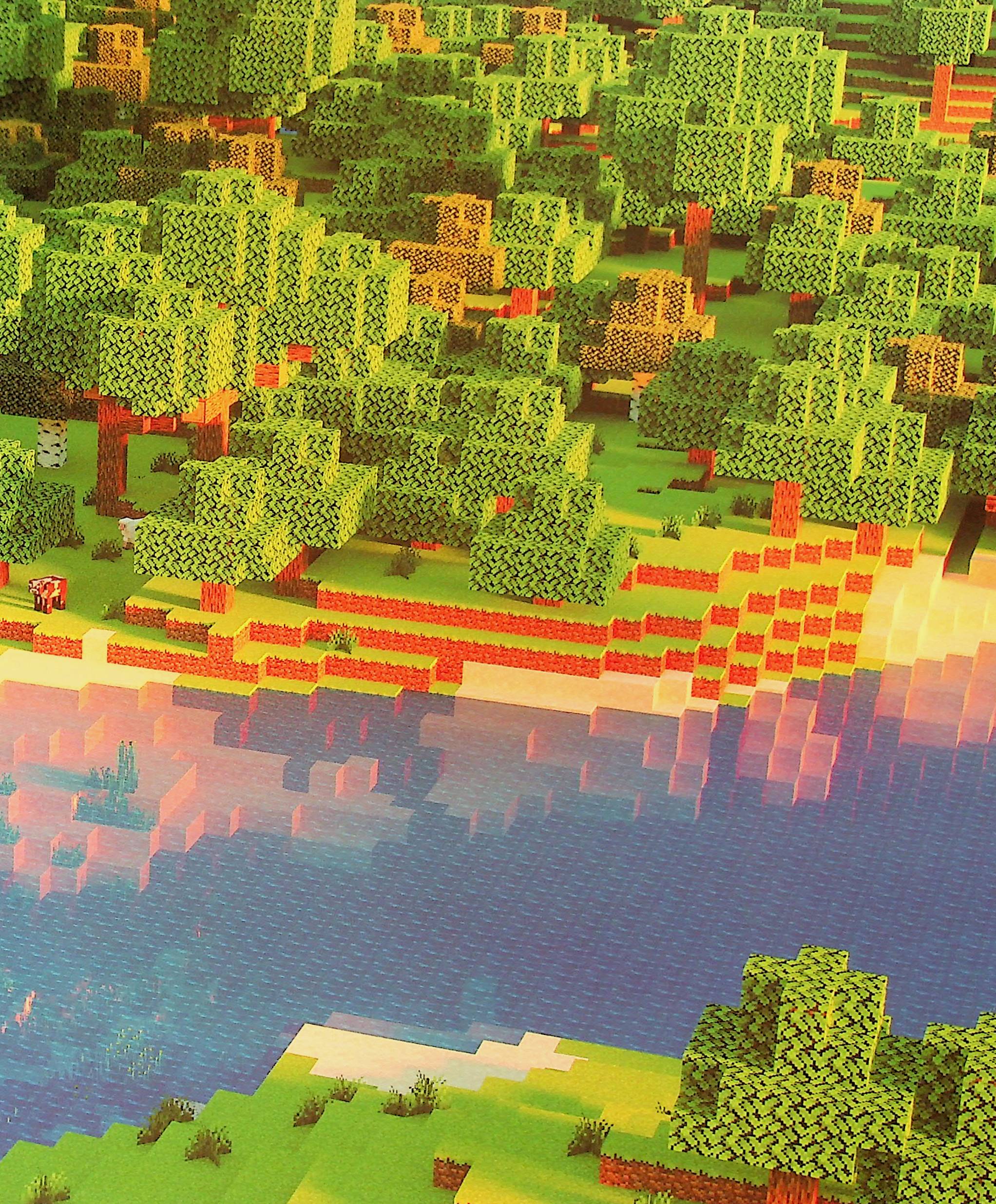 Книга "Minecraft. Официальная кулинарная книга" (у) (6919) 6
