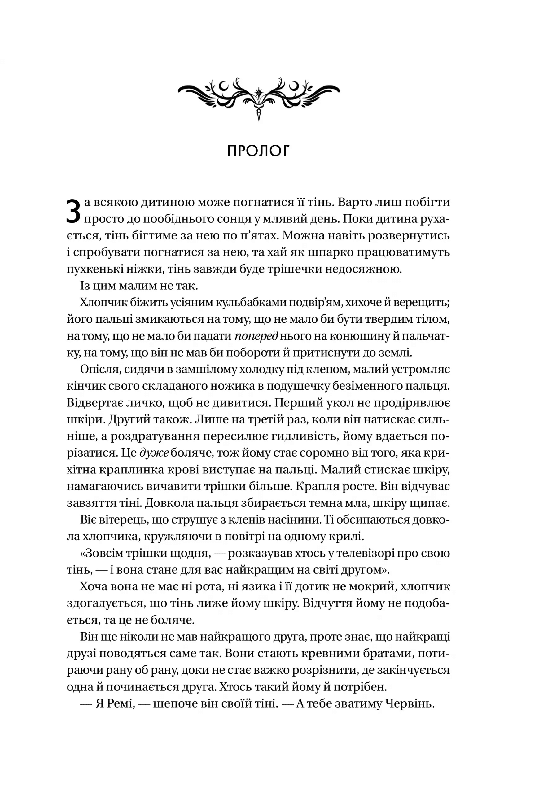 Книга "Голли Блэк Книга ночи (с цветным срезом)" (у) (5267) 3