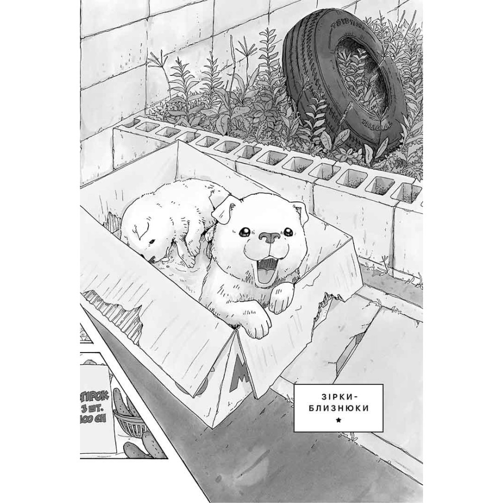 Книга комикс "Манга. Песик, который следит за звездами. Том 2" (у) (6527) 1