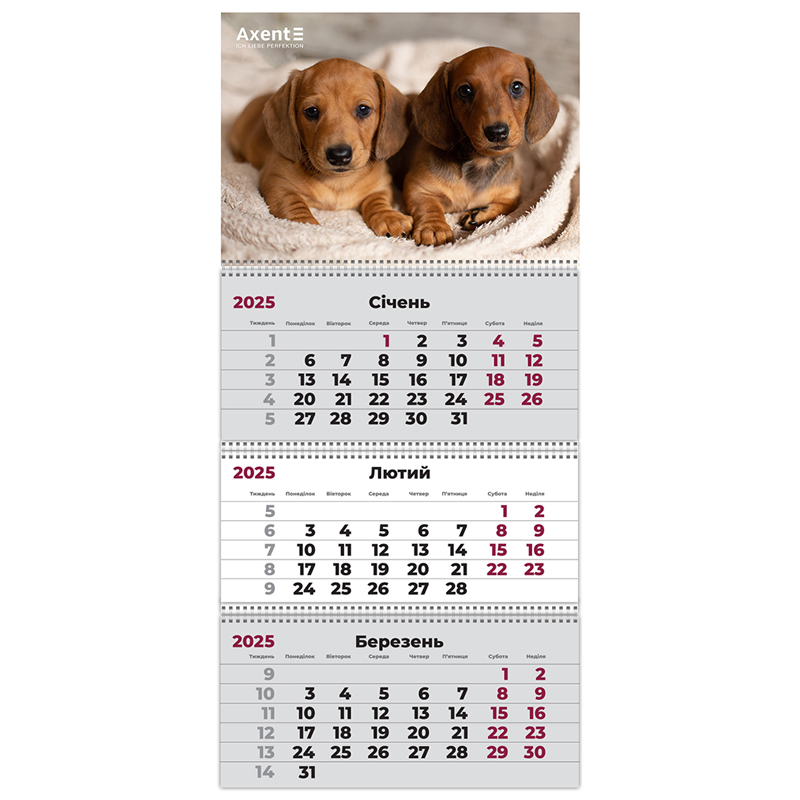 Календар настінний квартальний 2025 р.,3 пр. Dogs 1, 8803-25-16-A