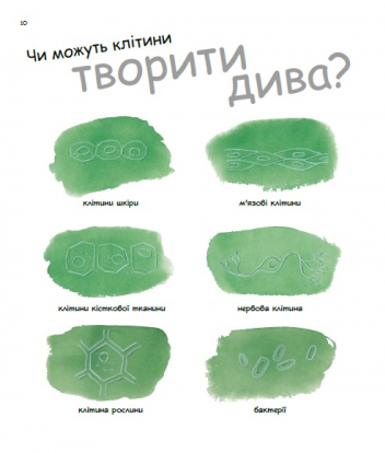 Книга "Генетика для детей: Удивительный мир клеток" (у) 4