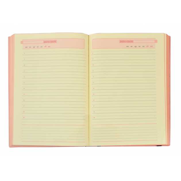 Щоденник недатований А5 "Angolo", 352 стор. м`яка обкл., 251970, Leo planner 4