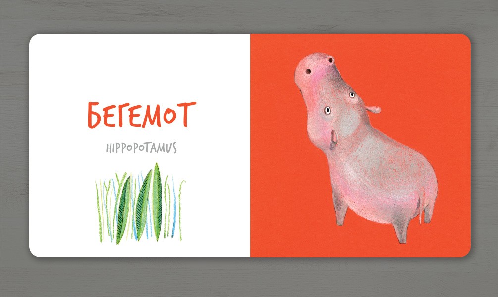 Книга "Таберко К. Африканские животные" (у) (5316) 4