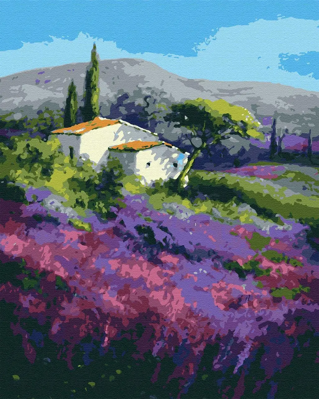 Картина по номерам "Долина цветов" 40*50 см, RB-0460, ТМ "RIVIERA BLANCA"