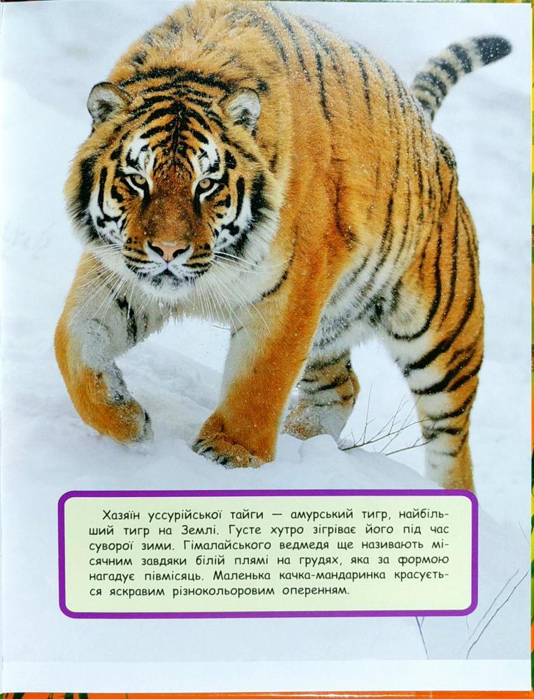 Книга "Найкраща енциклопедія в малюнках для малюків. Дивовижні тварини" (у) 1