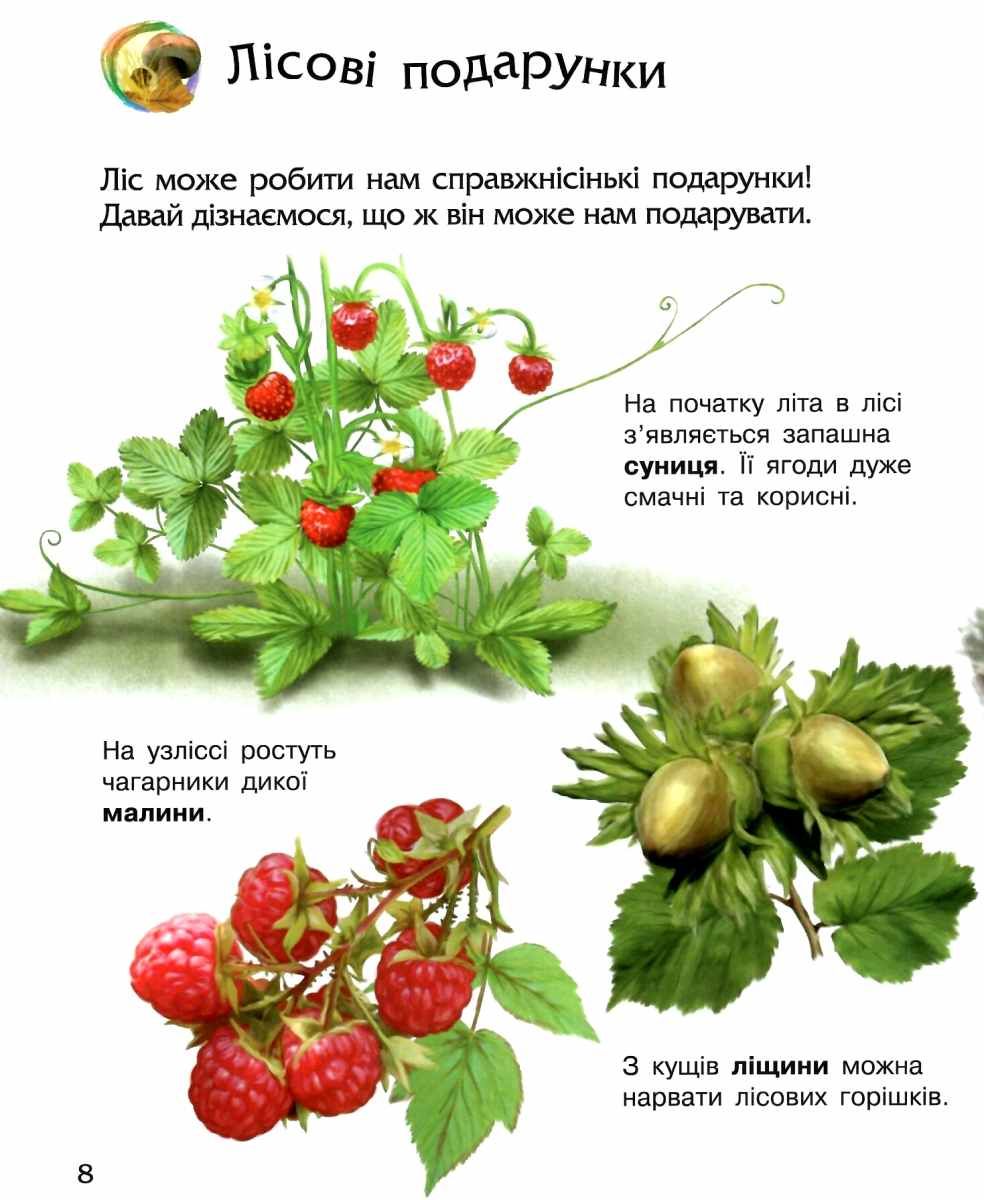 Книга "Енциклопедія дошкільника: Каспарова Ю. Природа" (у) (8313) 3