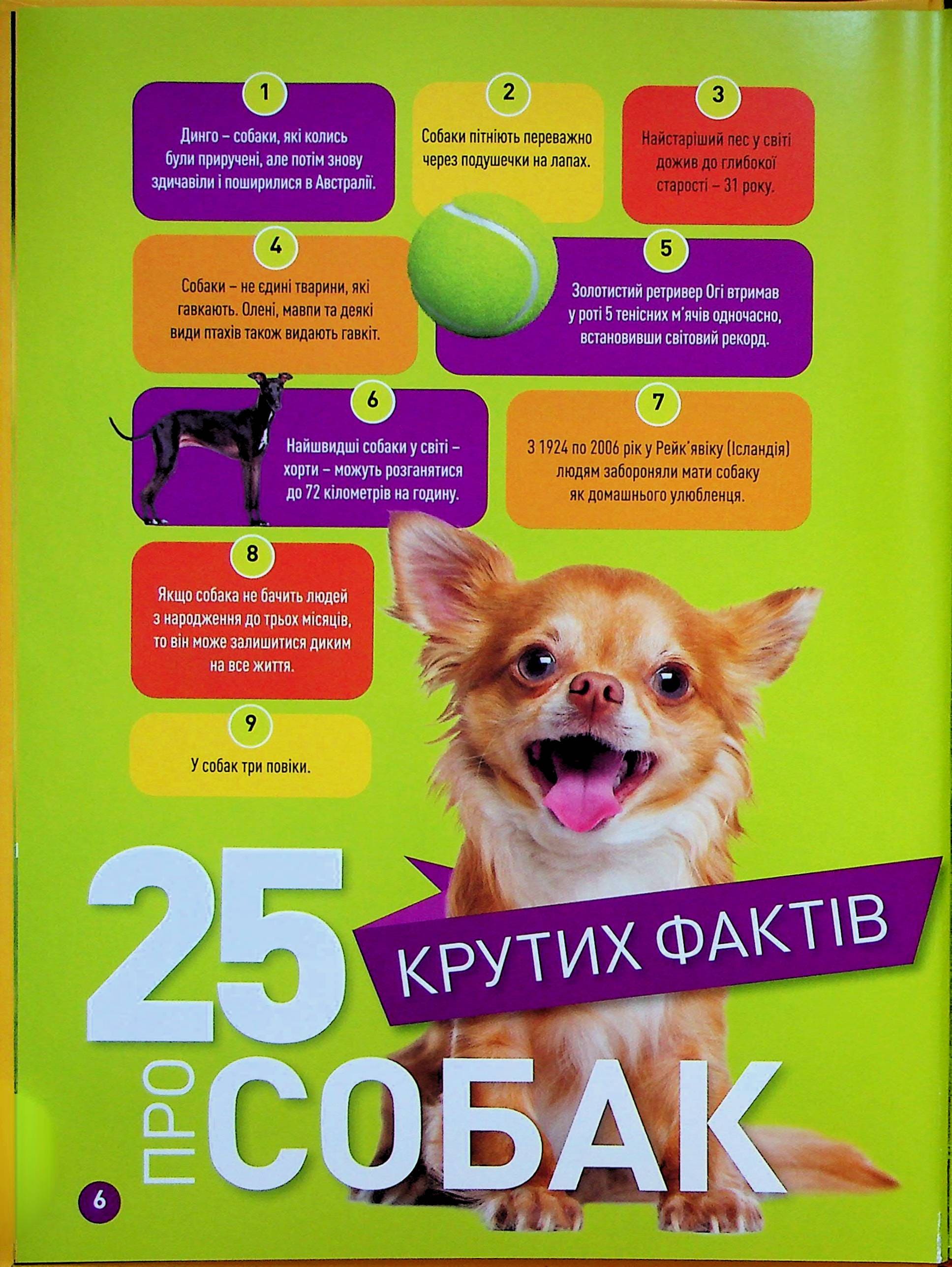 Книга "Гав! 100 цікавих фактів про собак" (0447) 3