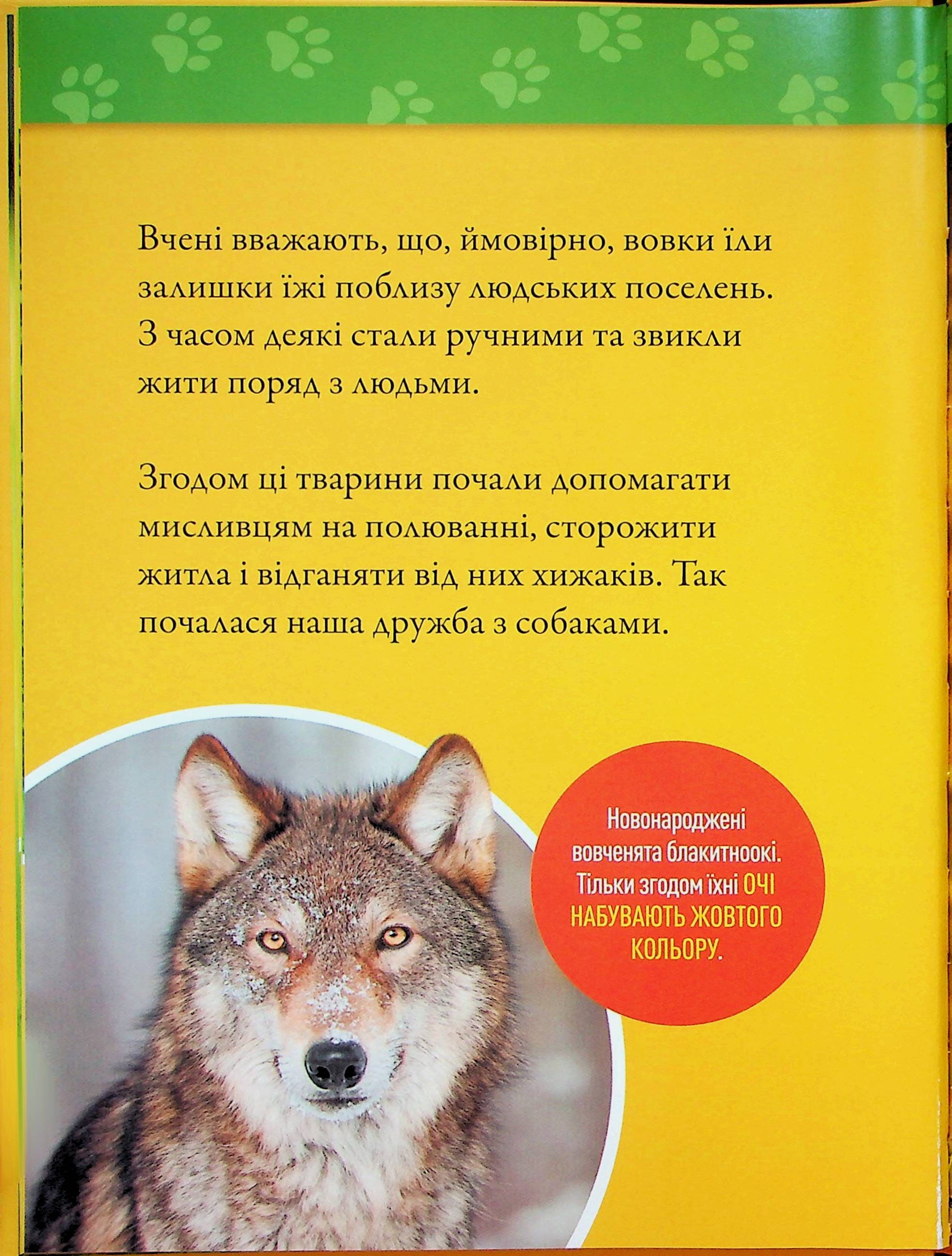 Книга "Гав! 100 цікавих фактів про собак" (0447) 5