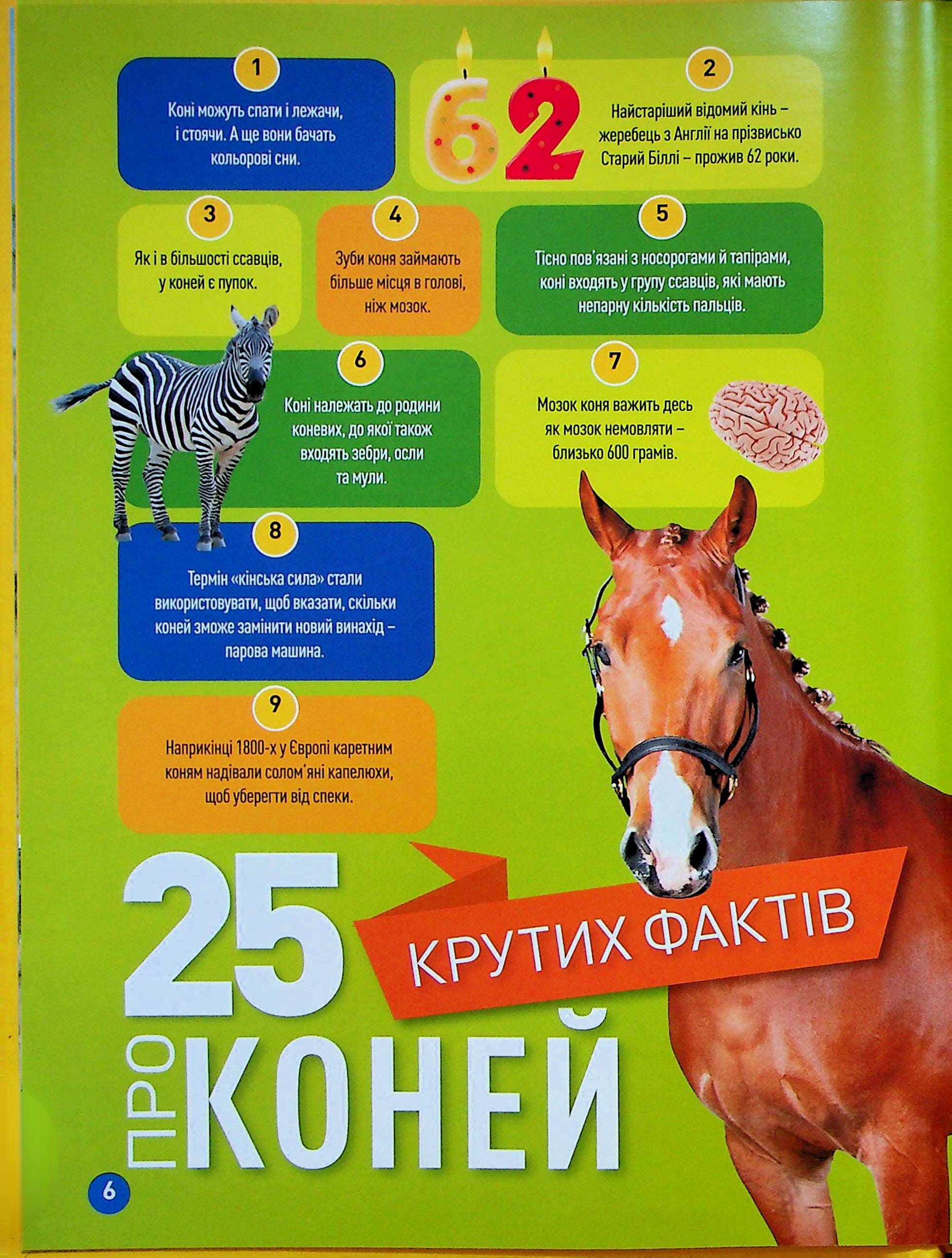Книга "Галопом! 100 цікавих фактів про коней" (0430) 3