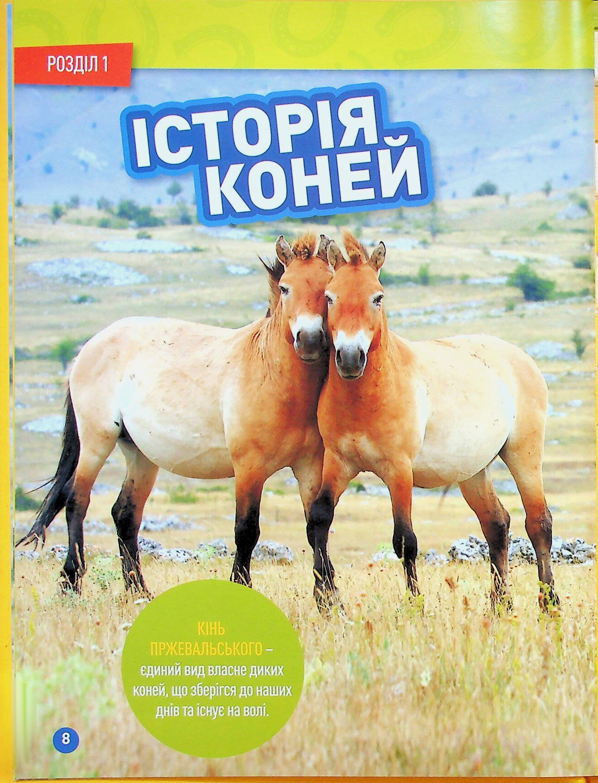 Книга "Галопом! 100 цікавих фактів про коней" (0430) 5