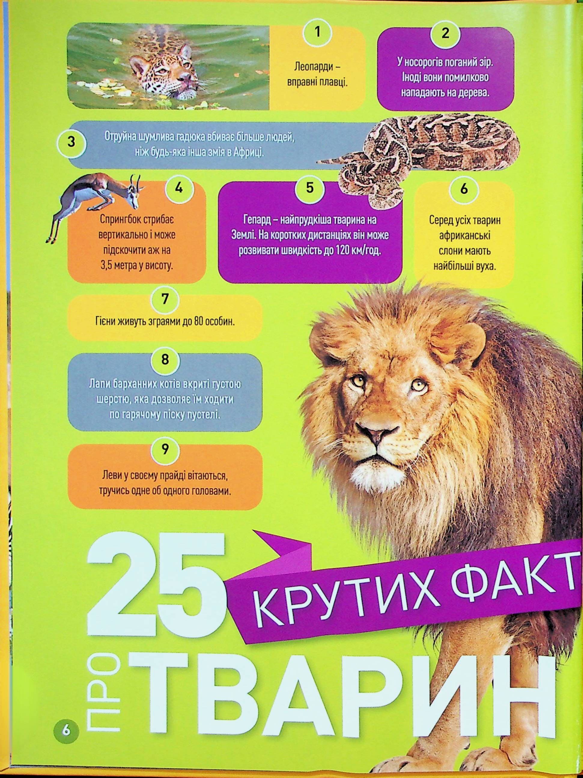 Книга "Гррр! 100 цікавих фактів про тварин Африки" (0454) 3