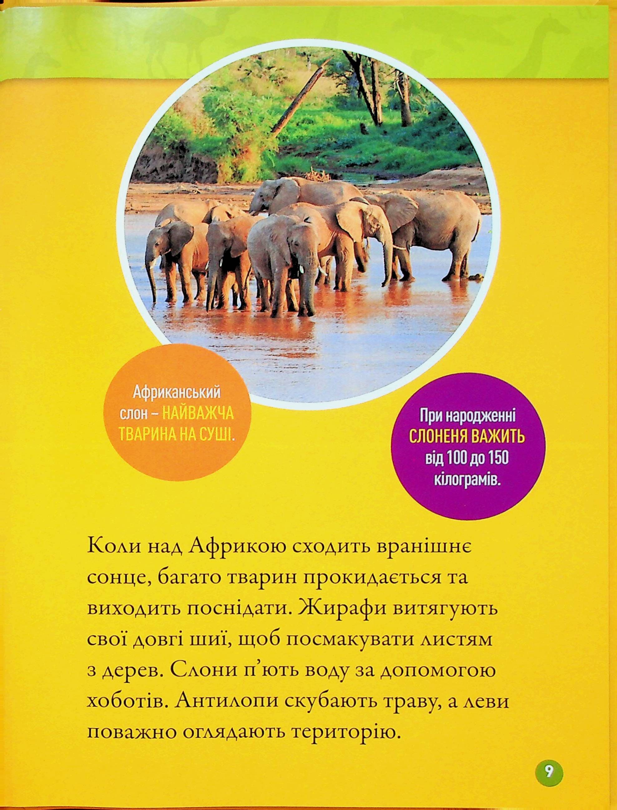 Книга "Гррр! 100 цікавих фактів про тварин Африки" (0454) 6
