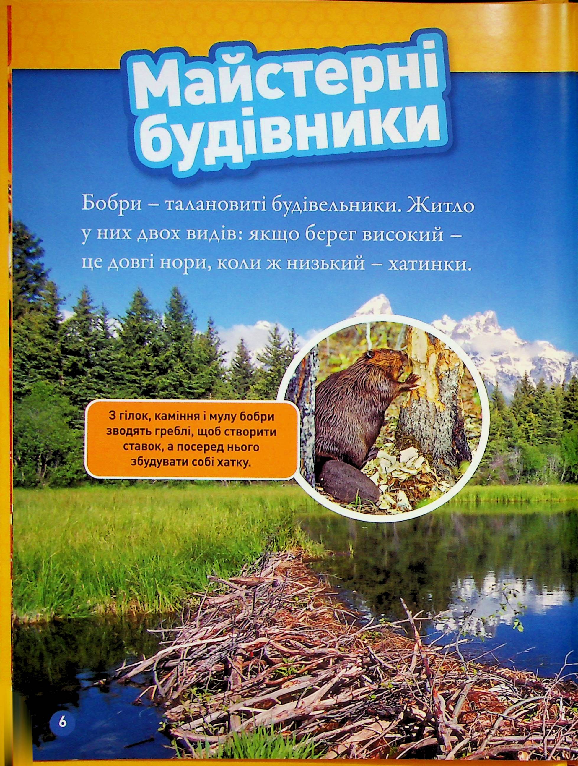 Книга "Тварини-будівники" (0423) 3