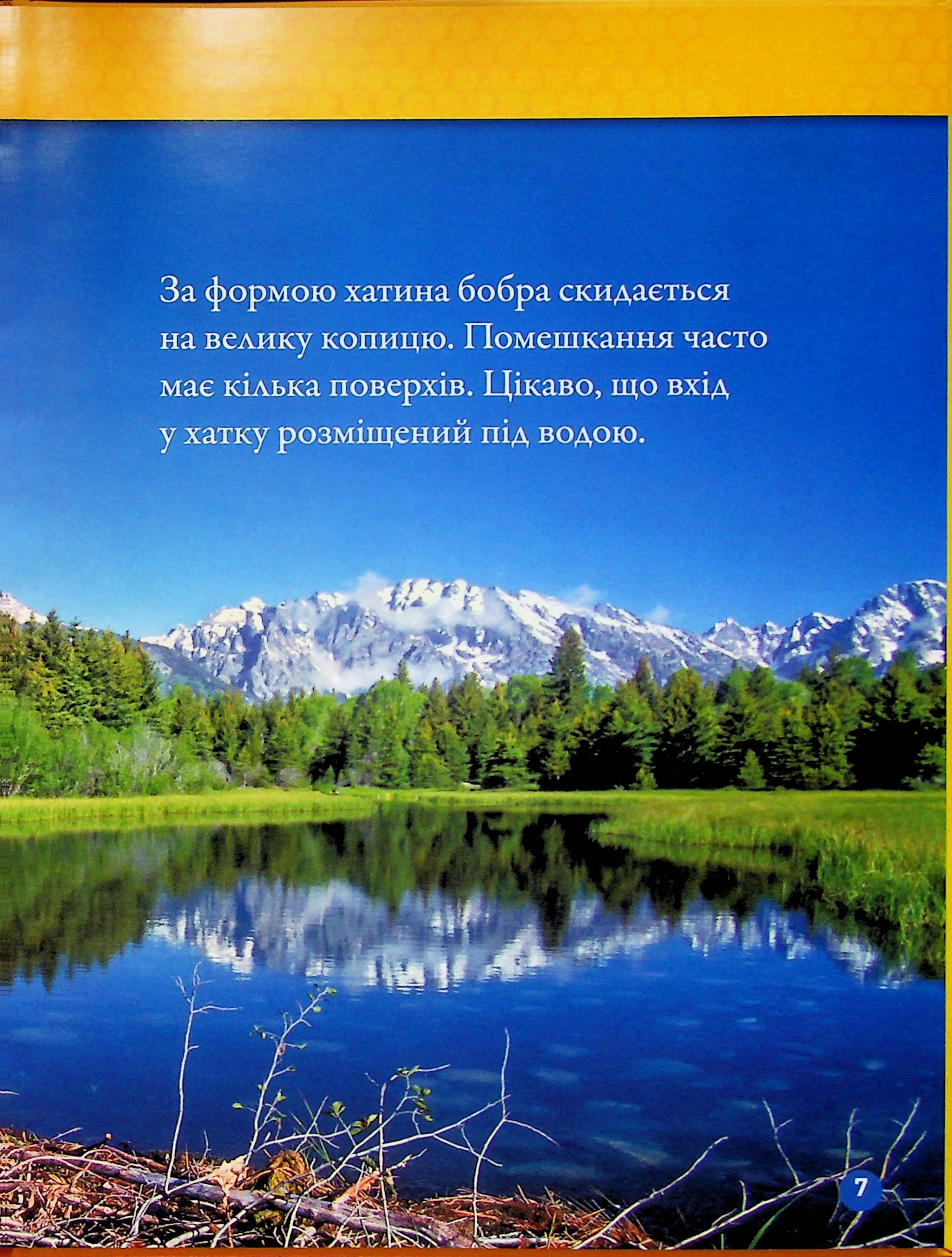Книга "Тварини-будівники" (0423) 4