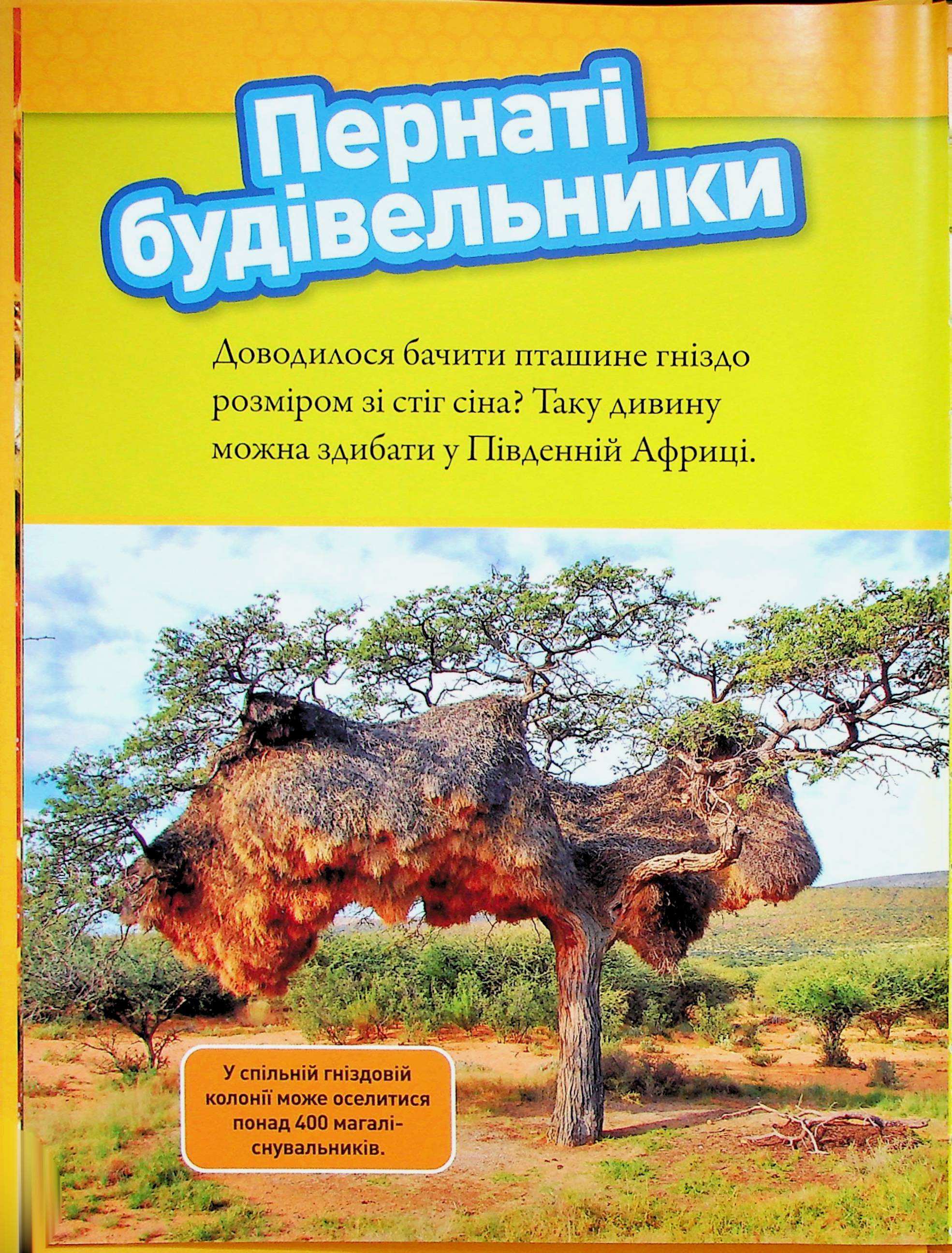 Книга "Тварини-будівники" (0423) 5