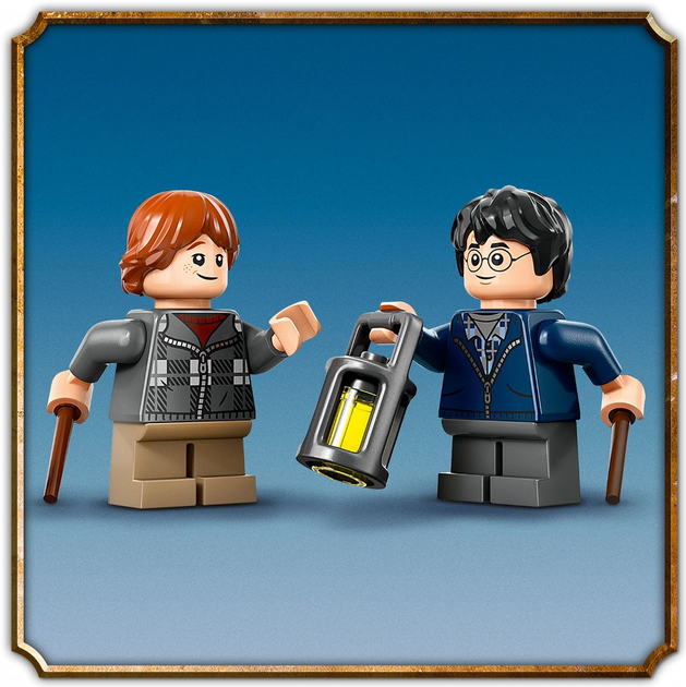Конструктор Lego "Араґоґ у Забороненому лісі", 76434 7