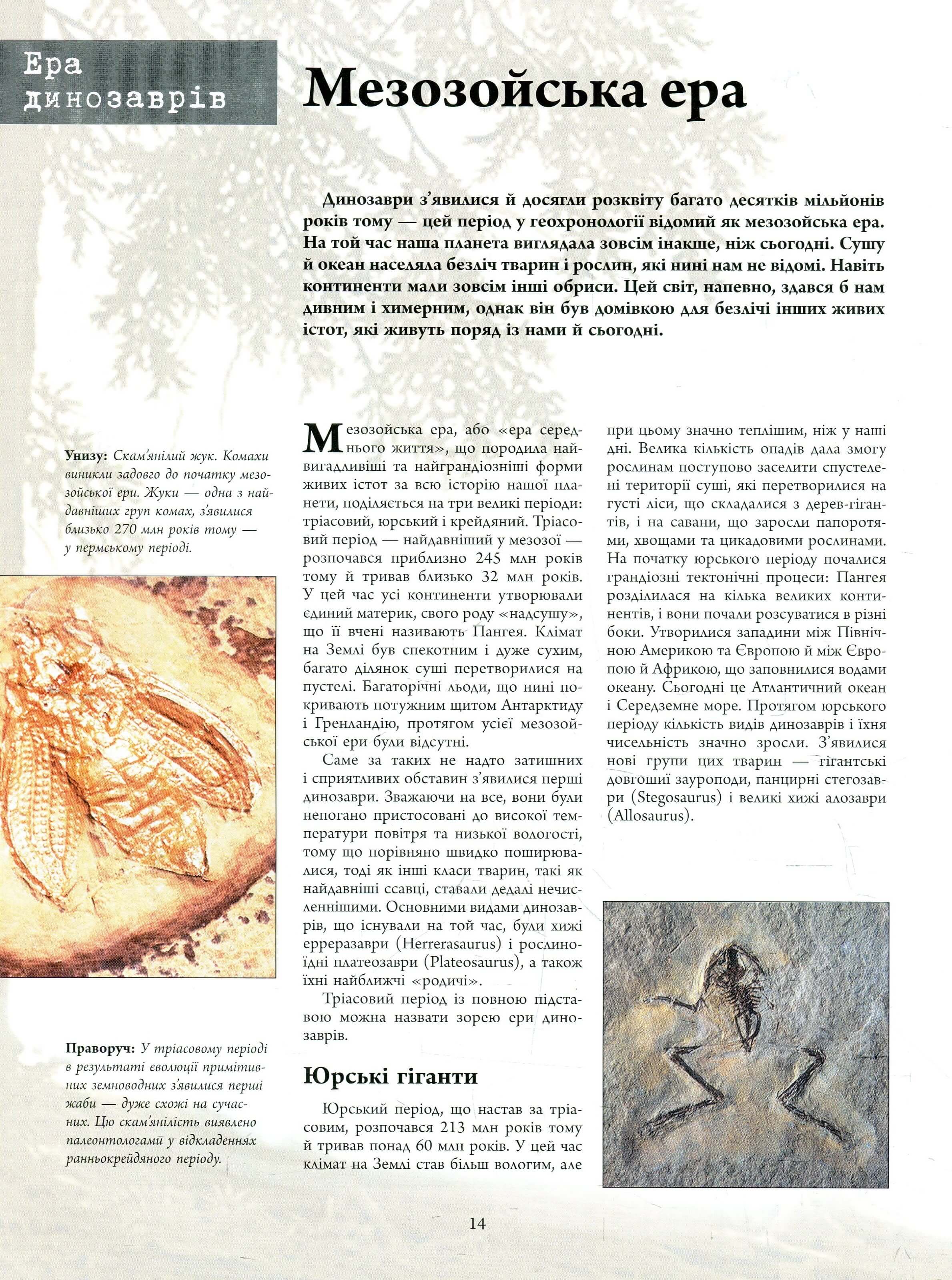 Книга "Несерійний. Баррет П., Падаян К. Велика енциклопедія. Динозаври" (у) (5297) 13