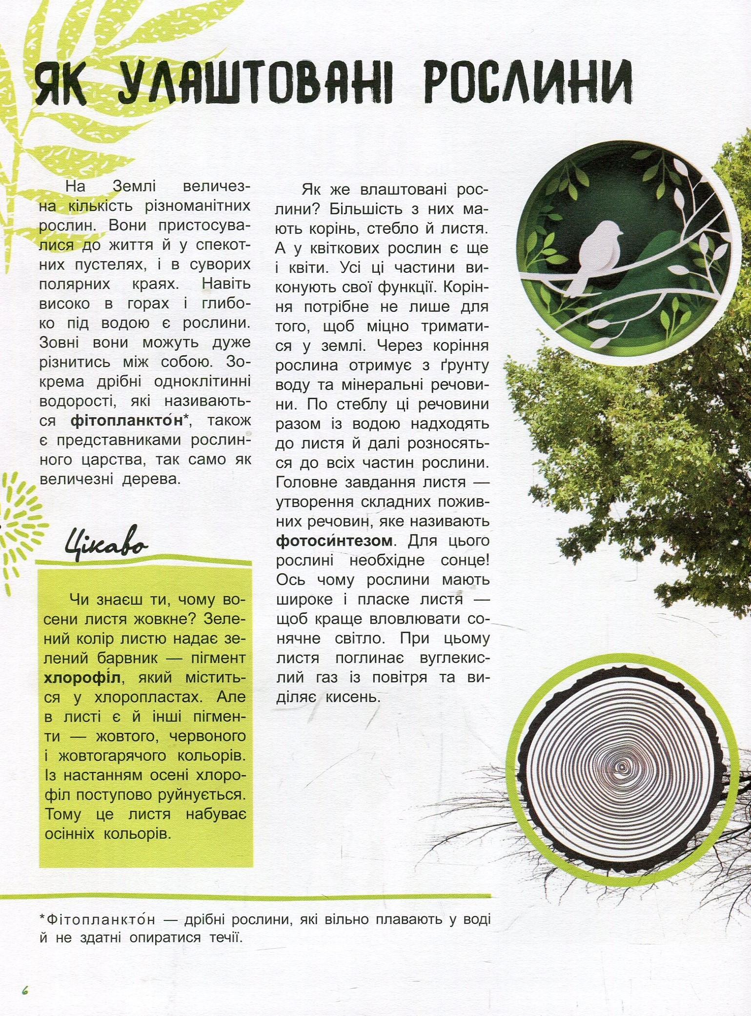 Книга "Стороженко Г. Світ і його таємниці. Життя лісу" (у) (4399) 6
