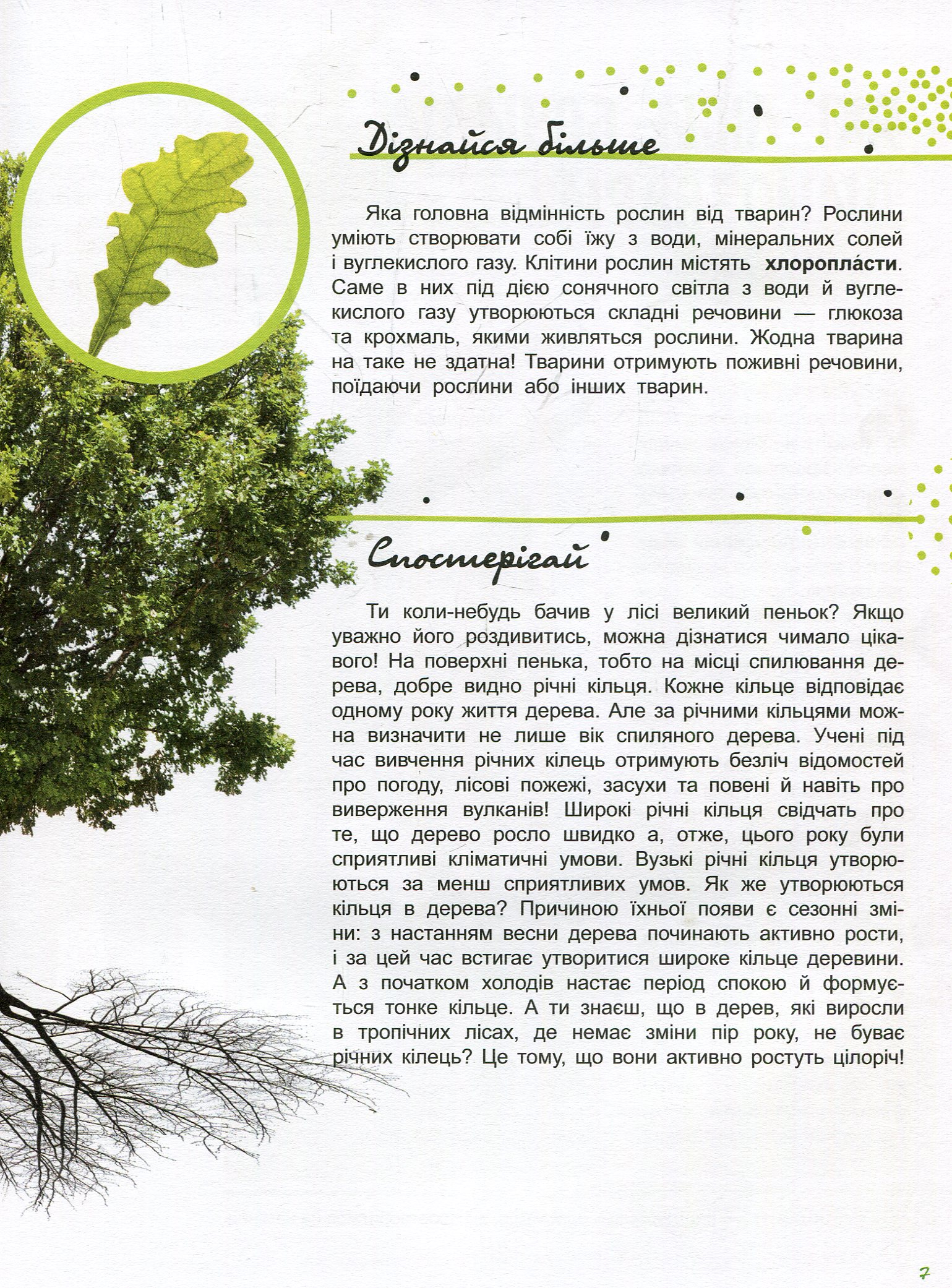 Книга "Стороженко Г. Світ і його таємниці. Життя лісу" (у) (4399) 7